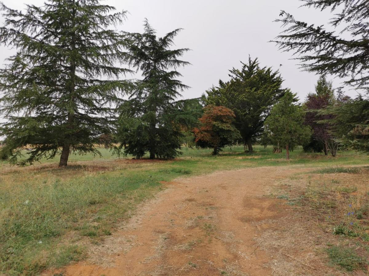 Casa Chalet En El Campo Barbadillo Εξωτερικό φωτογραφία