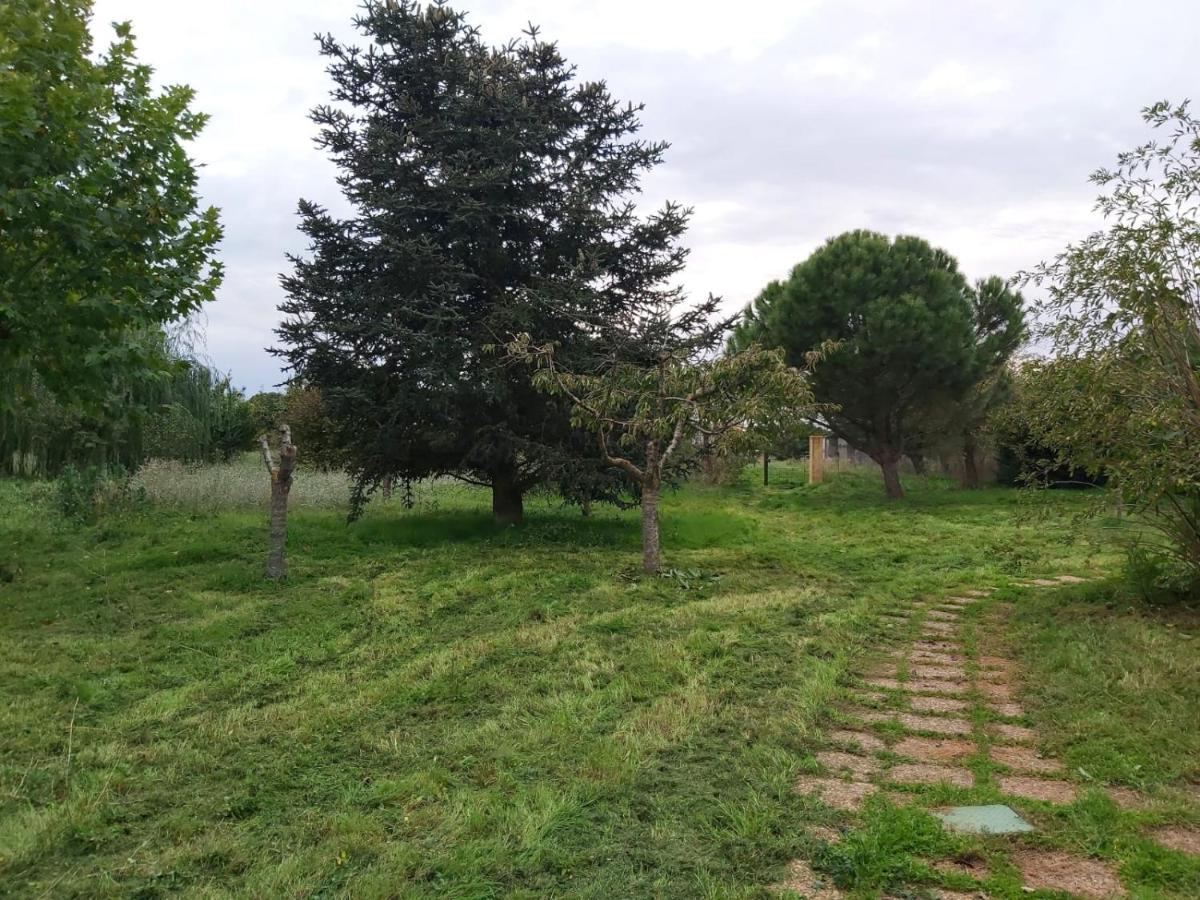 Casa Chalet En El Campo Barbadillo Εξωτερικό φωτογραφία