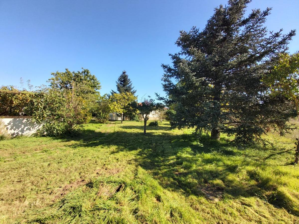 Casa Chalet En El Campo Barbadillo Εξωτερικό φωτογραφία