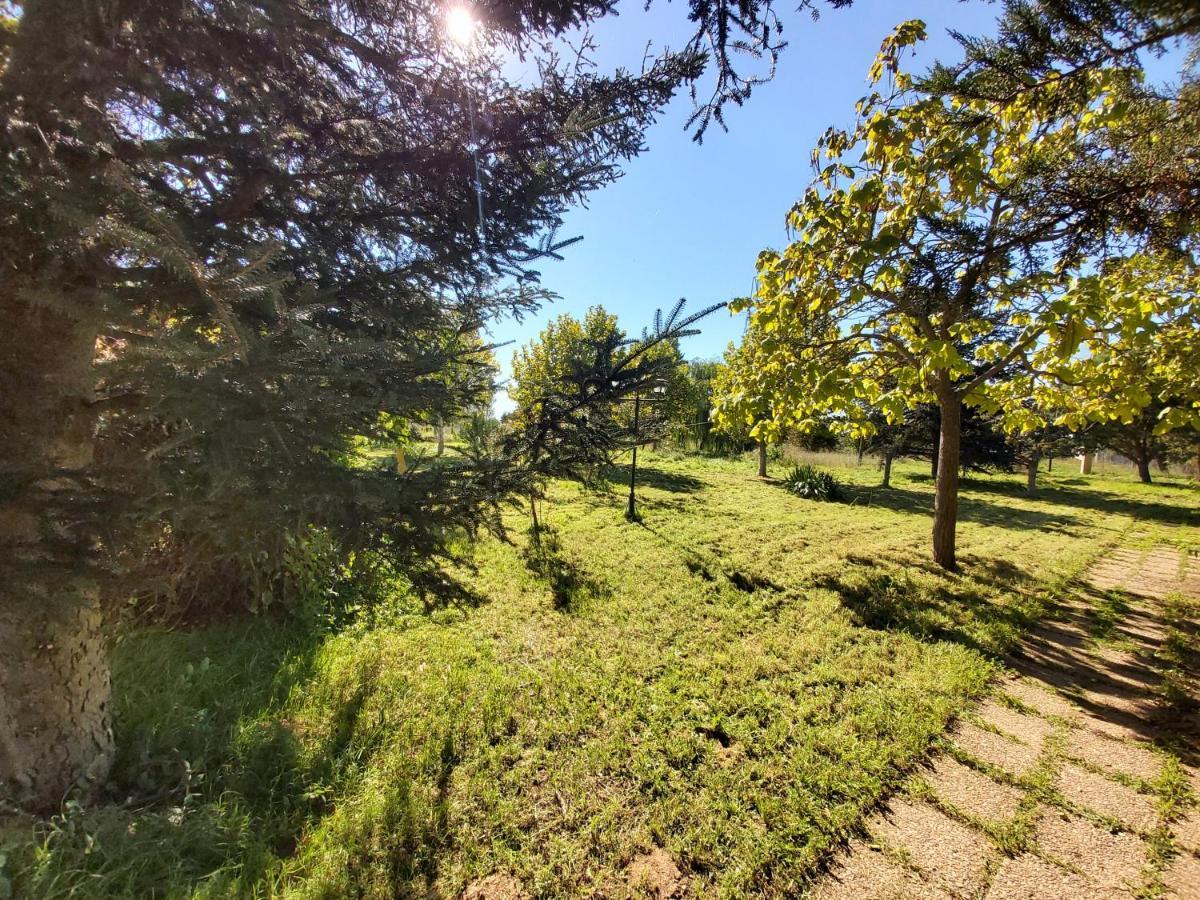 Casa Chalet En El Campo Barbadillo Εξωτερικό φωτογραφία