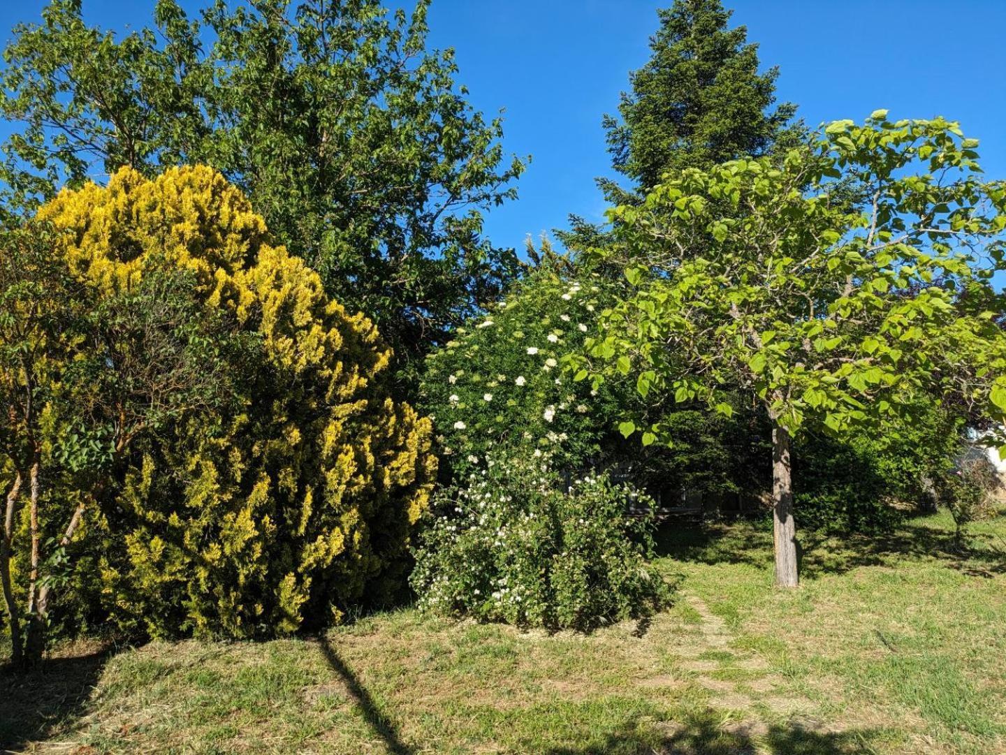 Casa Chalet En El Campo Barbadillo Εξωτερικό φωτογραφία