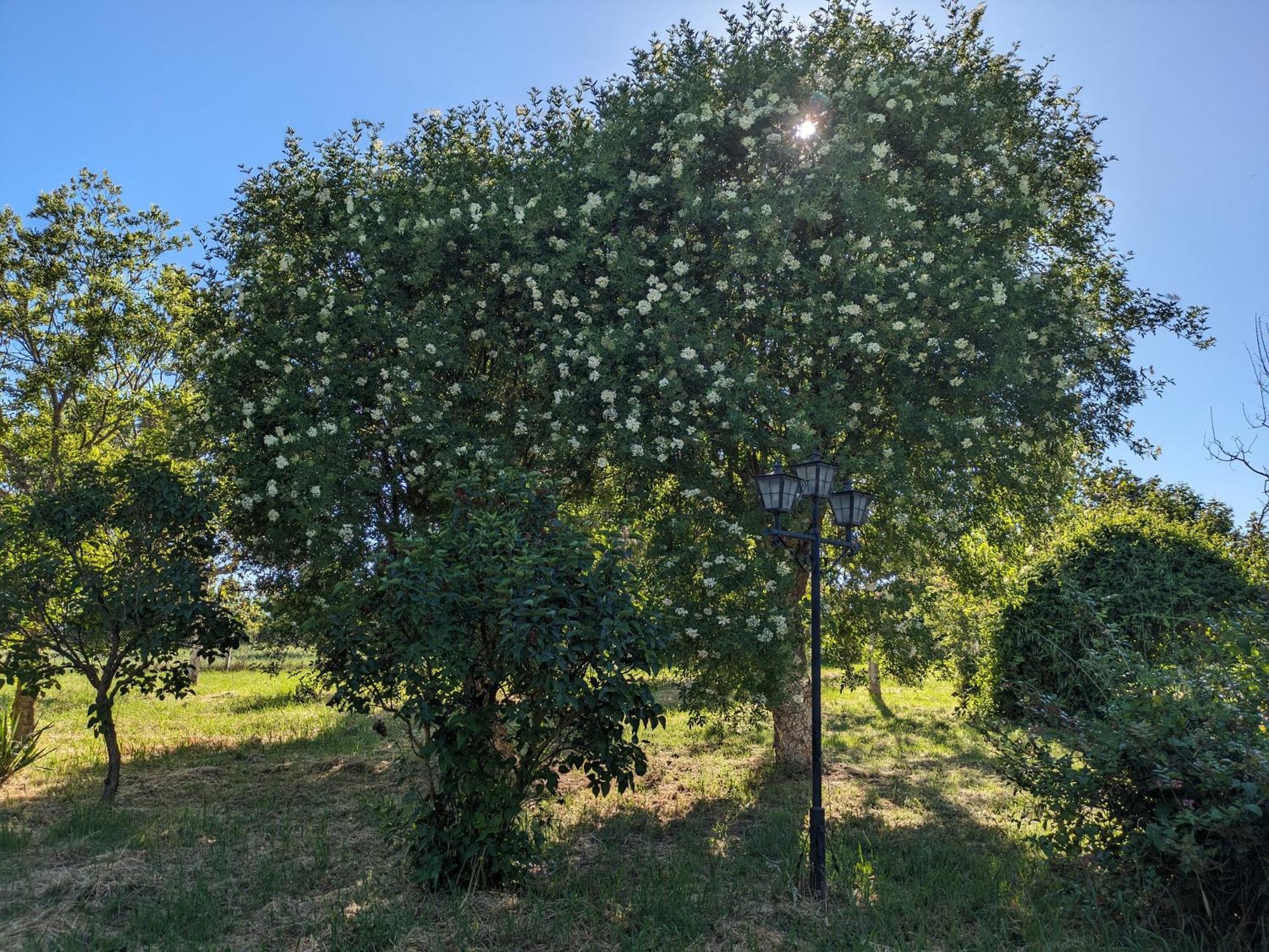 Casa Chalet En El Campo Barbadillo Εξωτερικό φωτογραφία